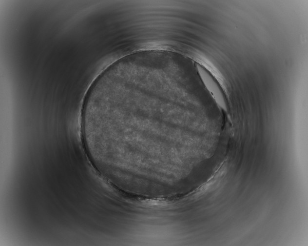 X0000091890994200709261636