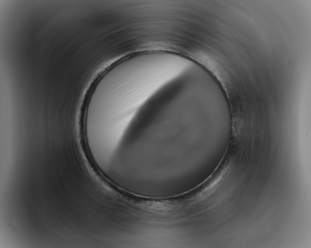 X0000091890995200709261636