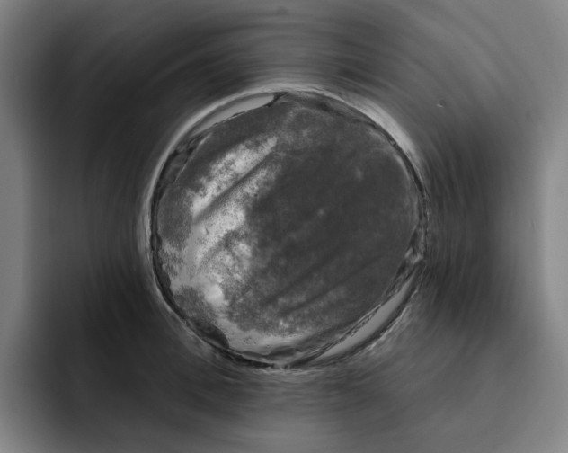 X0000091890996200709261636