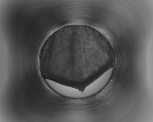 X0000091890998200709261636