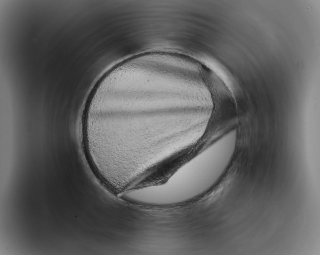 X0000091890999200709261636