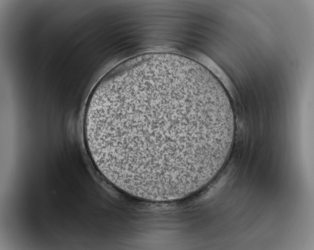 X0000091891002200709261636