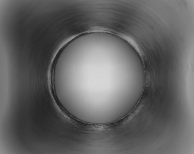 X0000091891003200709261636