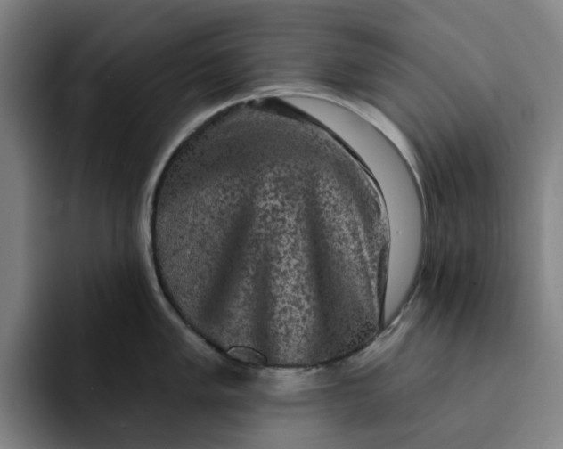 X0000091891005200709261636