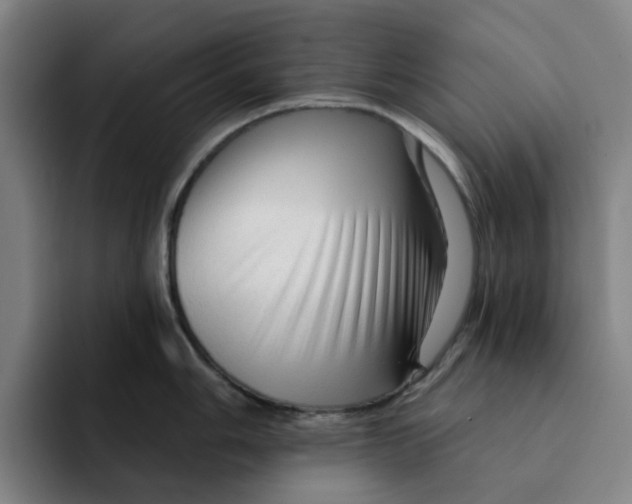 X0000091891006200709261636