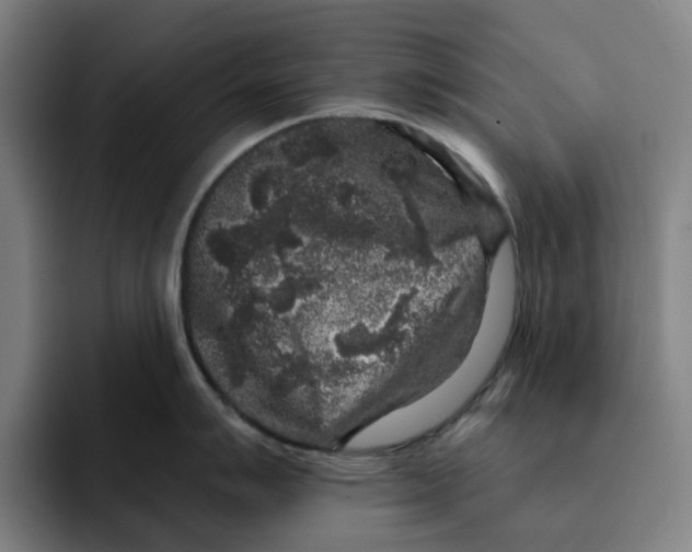 X0000091891007200709261636