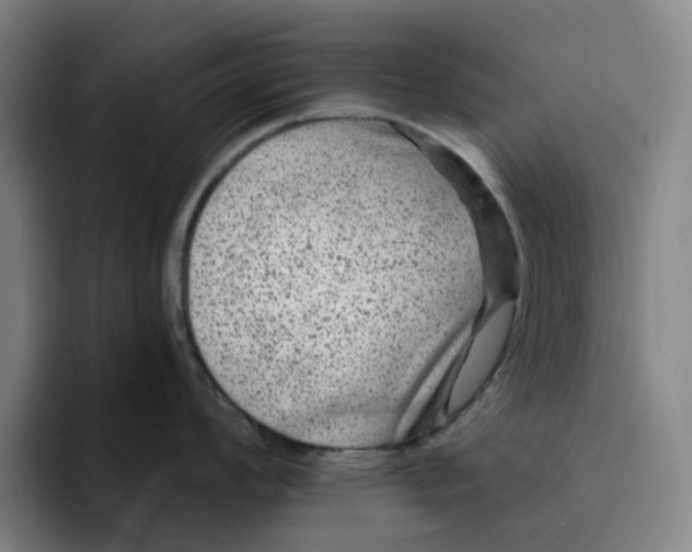 X0000091891008200709261636