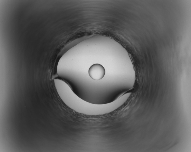 X0000091891010200709261635