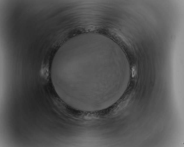 X0000091891011200709261635