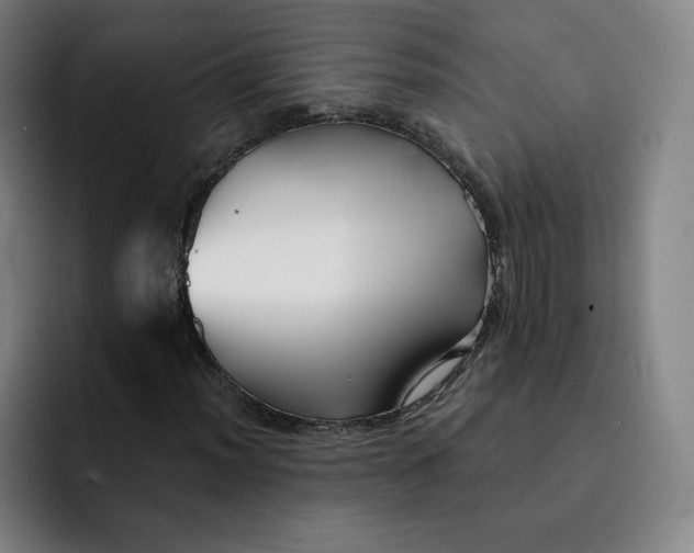 X0000091891012200709261635