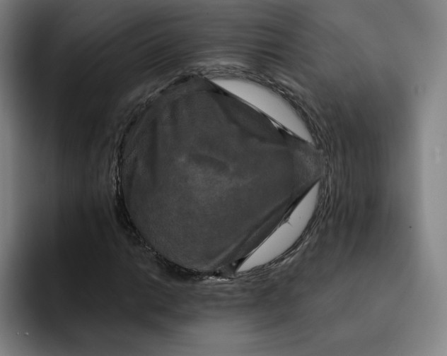 X0000091891014200709261635