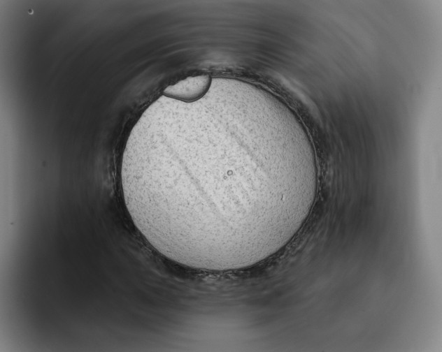 X0000091891015200709261635