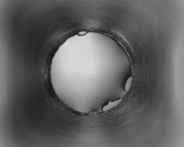 X0000091891016200709261635