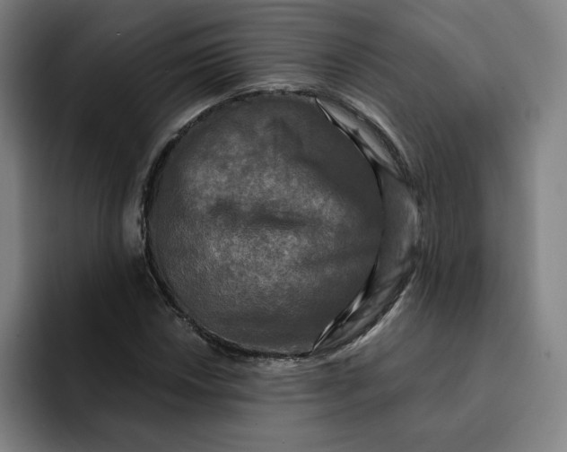 X0000091891018200709261635