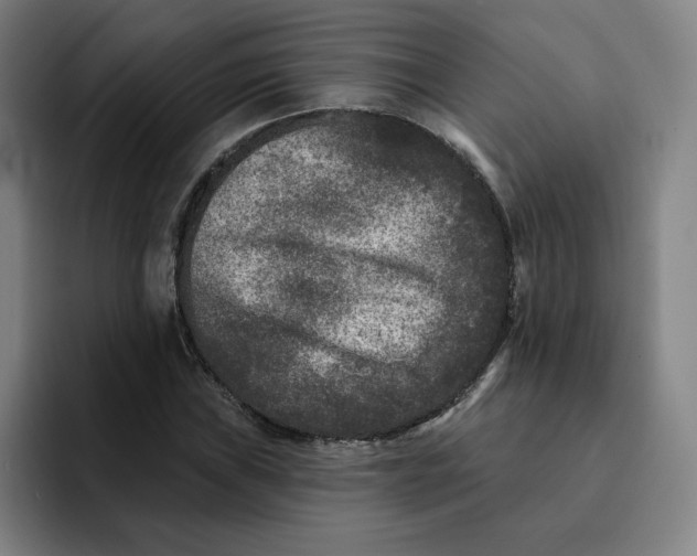 X0000091891019200709261635