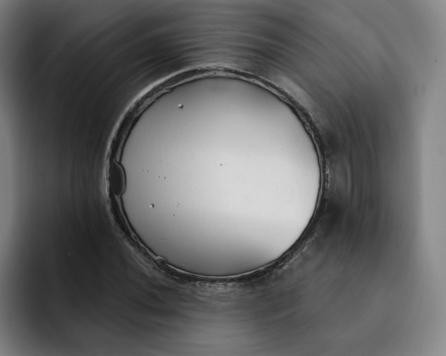 X0000091891020200709261635