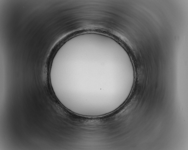 X0000091891021200709261635