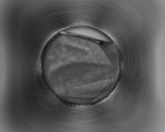 X0000091891022200709261635