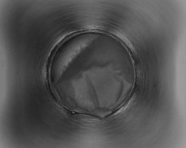 X0000091891023200709261635