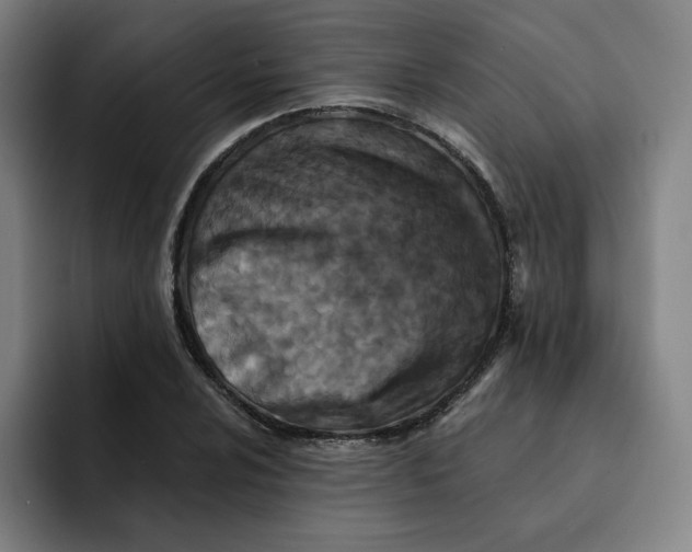 X0000091891024200709261635