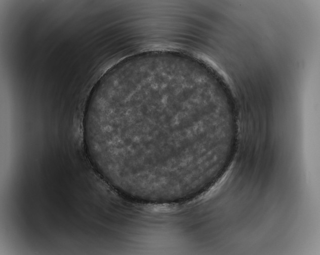 X0000091891025200709261635