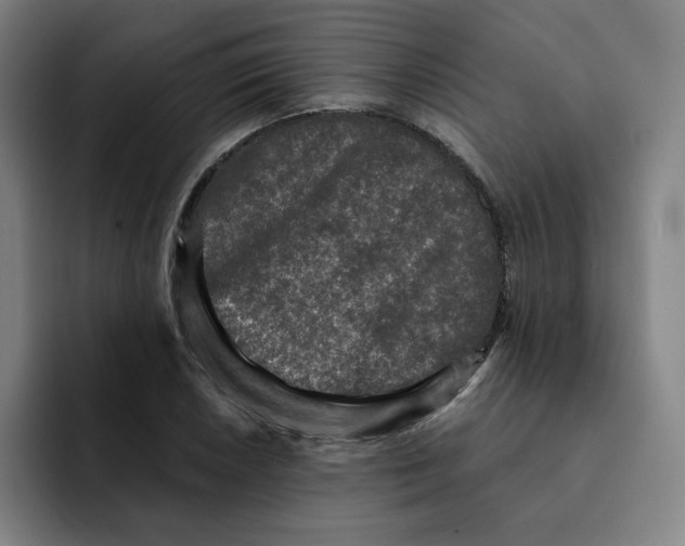 X0000091891026200709261635