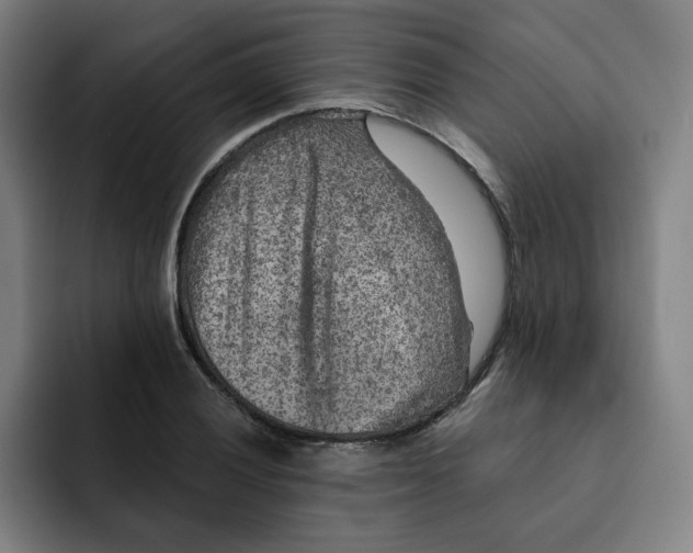 X0000091891028200709261635