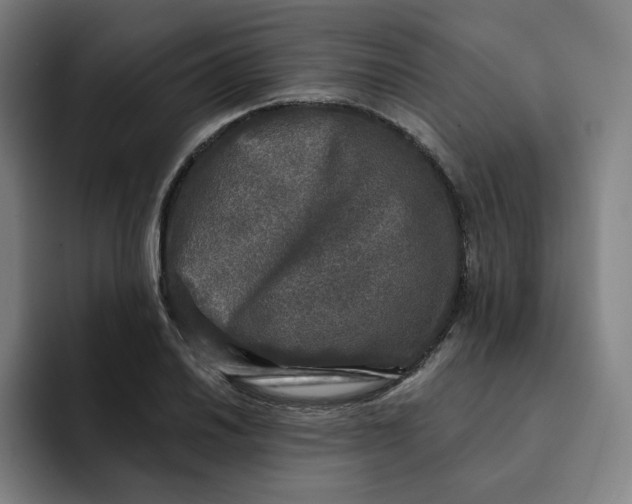 X0000091891030200709261635