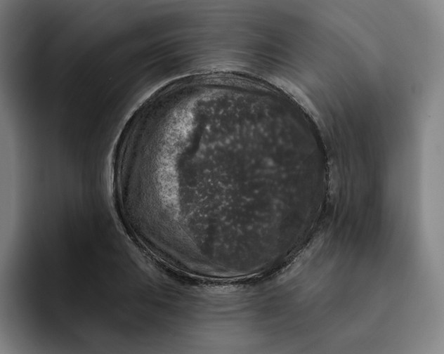 X0000091891031200709261635