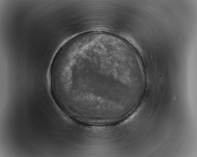 X0000091891032200709261635