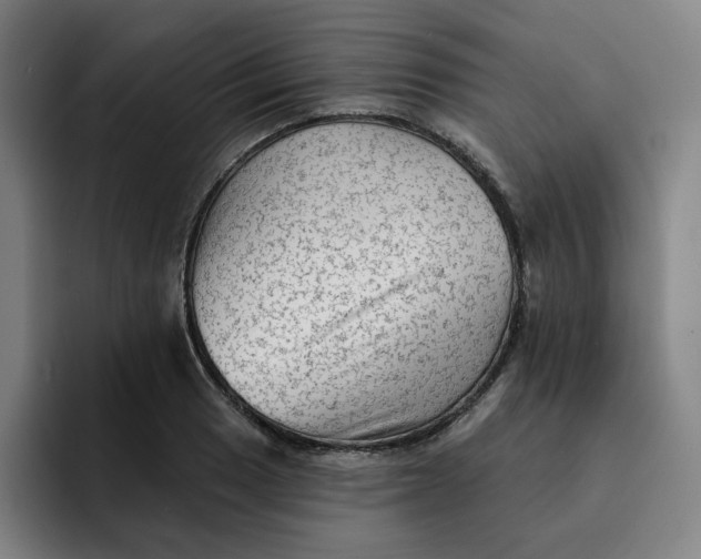 X0000091891033200709261635