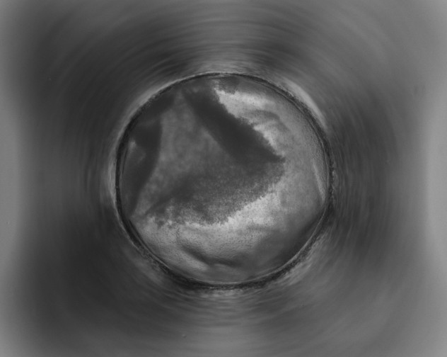 X0000091891035200709261636