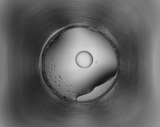 X0000091891036200709261636