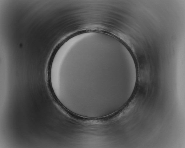 X0000091891037200709261636