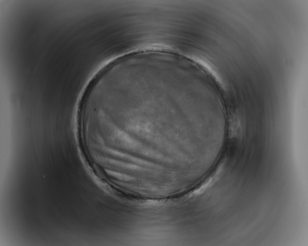 X0000091891038200709261636