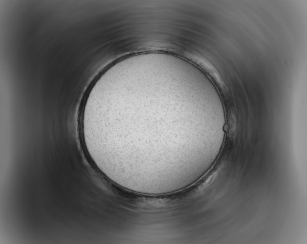 X0000091891039200709261636