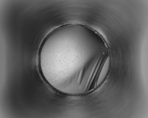 X0000091891040200709261636