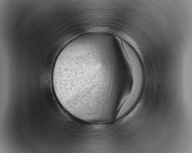 X0000091891041200709261636