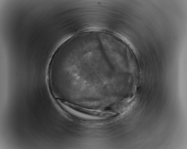 X0000091891042200709261636