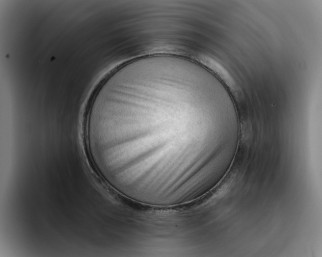 X0000091891043200709261636