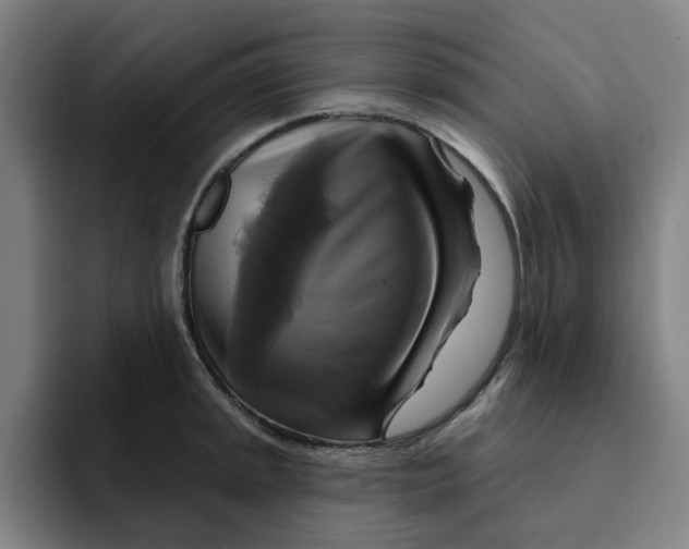 X0000091891045200709261636