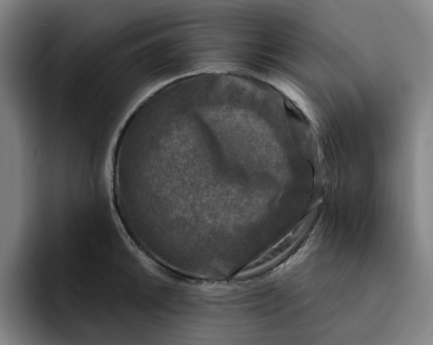 X0000091891046200709261636