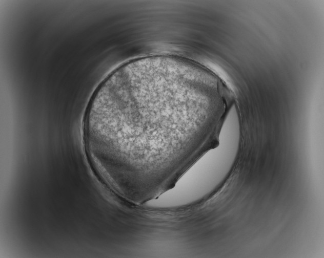 X0000091891047200709261636