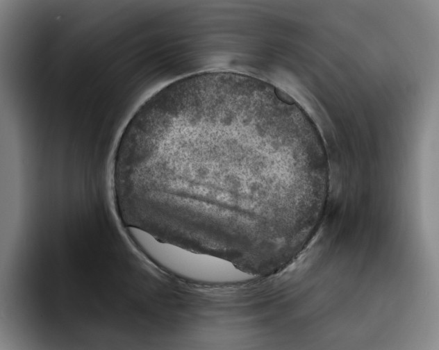 X0000091891048200709261636