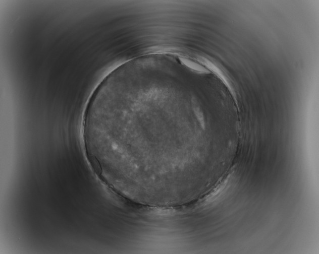 X0000091891050200709261636