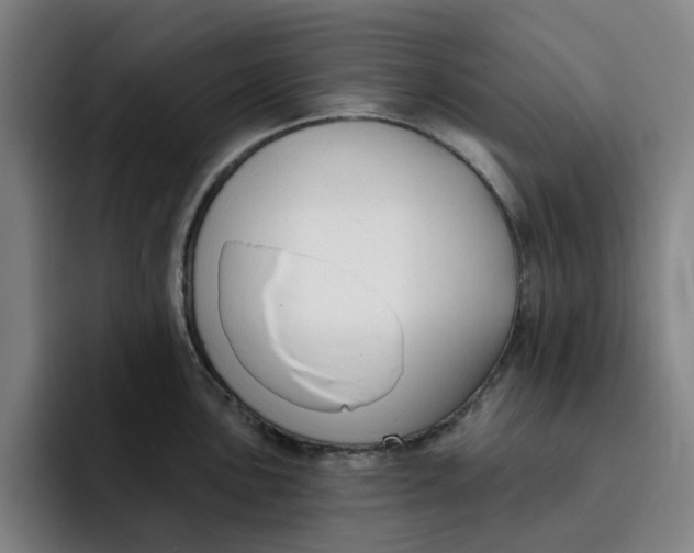 X0000091891051200709261636