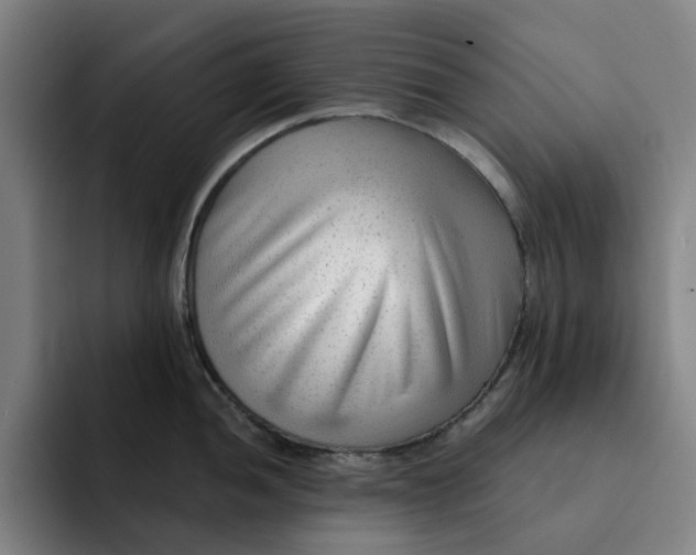 X0000091891052200709261636