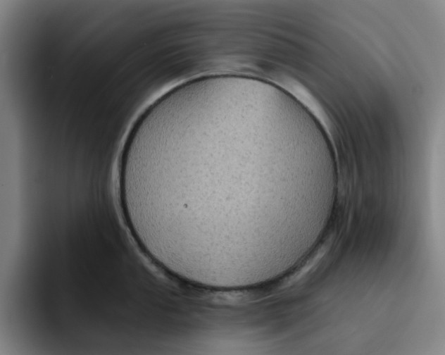 X0000091891053200709261636