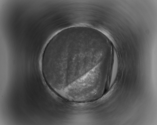 X0000091891054200709261636