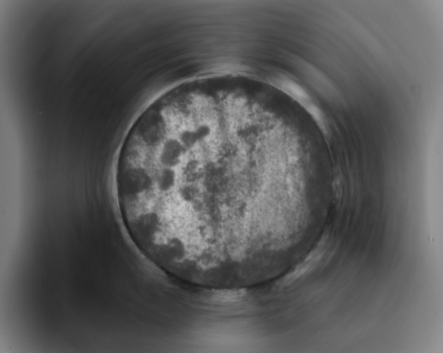 X0000091891055200709261636